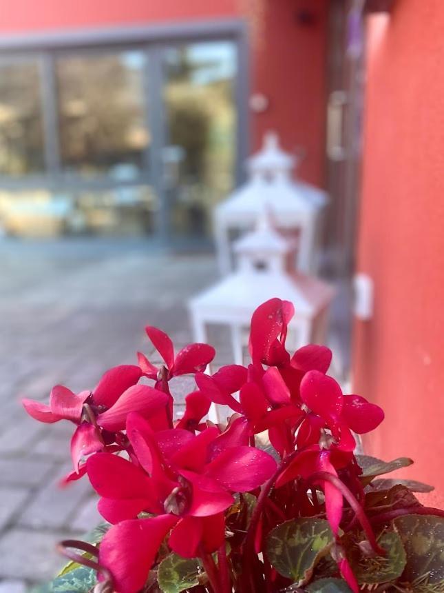 La Casina Rossa Affittacamere La Spezia Zewnętrze zdjęcie